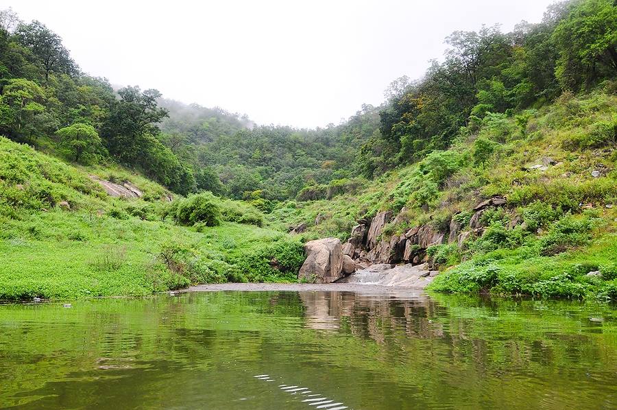  [center]เนื่องจากฝนตกเยอะมาก น้ำลงห้วยเลยครับ นึกในใจว่าปลาขึ้นห้วยแน่[/center]