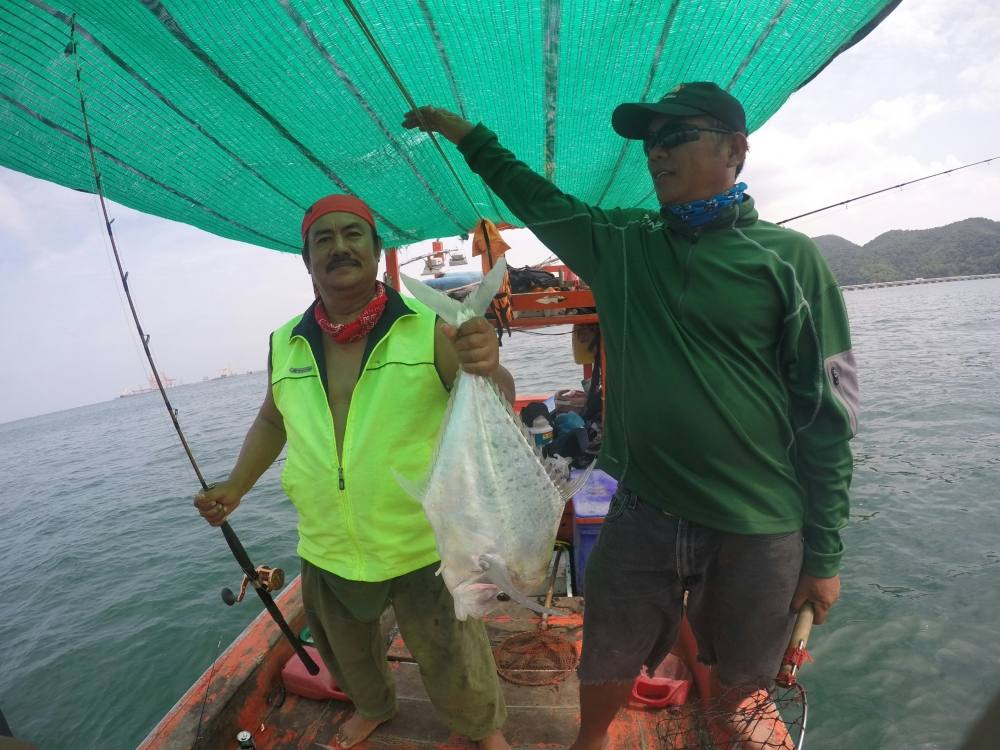 น้านกจัดไปตัวนึง ท้ายเรือ 1  หัวเรือ 3