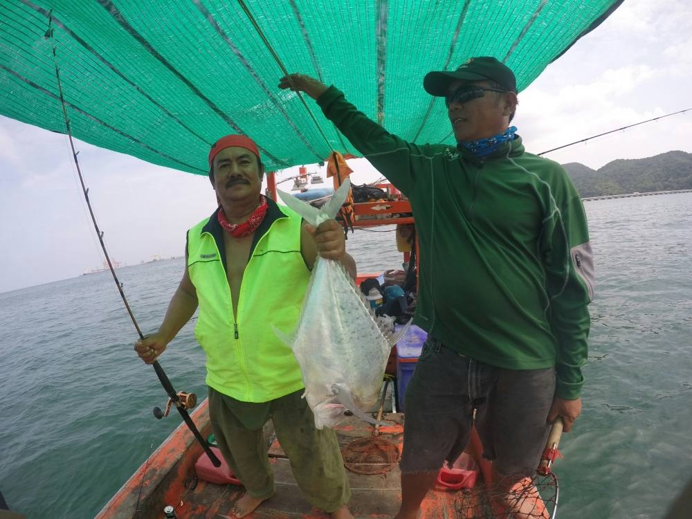 น้านกจัดไปตัวนึง ท้ายเรือ 1  หัวเรือ 3