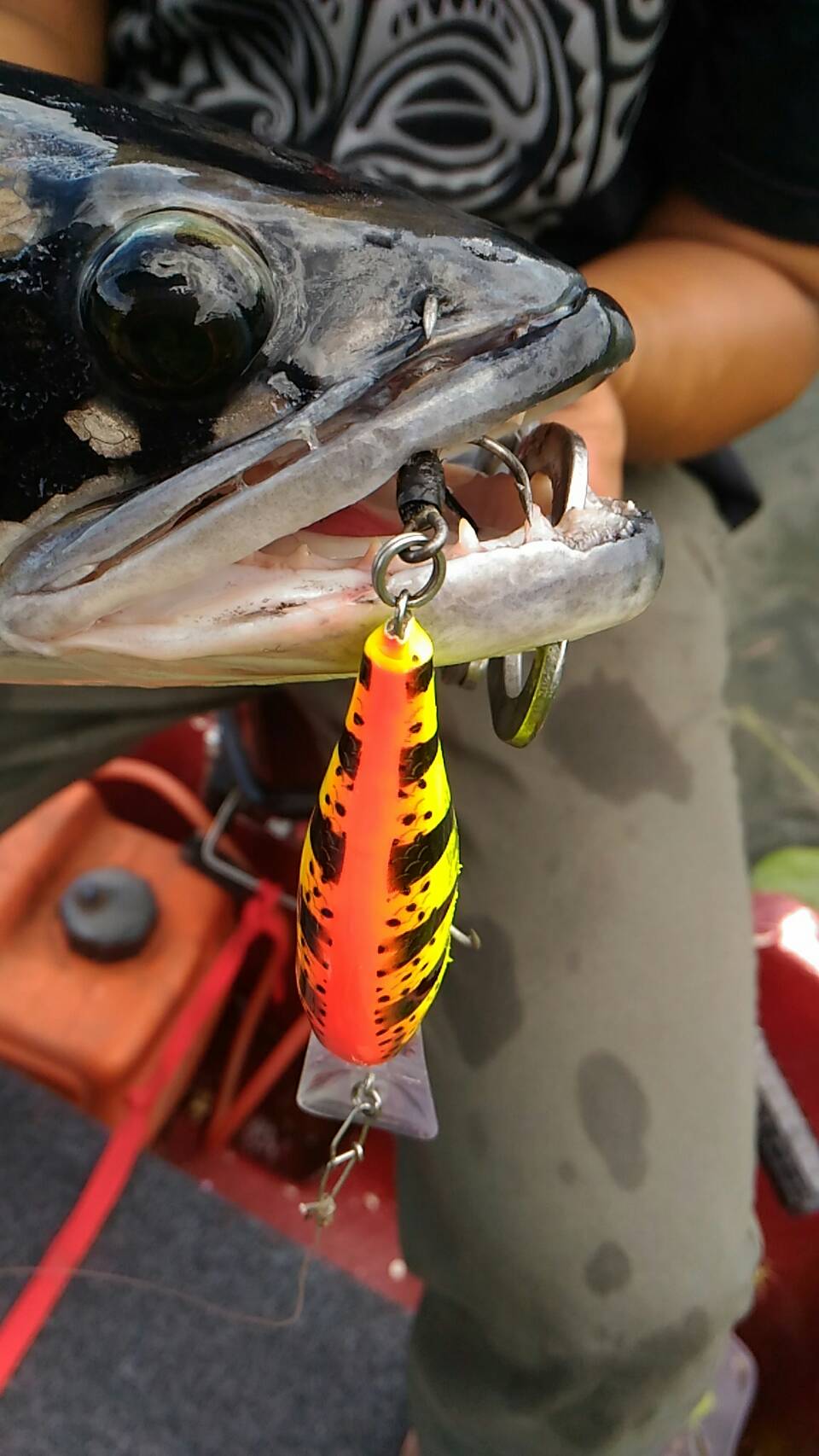 Rapala 9 สี HT ชื่อนี้การันตีด้วยผลงานครับ