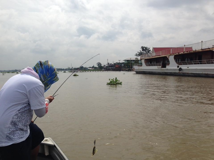 ทริปต่อมา มากับน้าบอมเลยครับ

ได้ข่าวปลากระสูบเริ่มล่องลงมาปทุมบ้างแล้ว 

ไล่ผิวน้ำกันตั้งแต่เช้