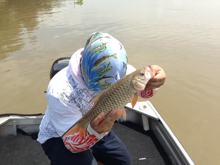 กระสูบวัยรุ่นนี้เอง 

ไซร์กำลังมันส์คัน finesse fishing :grin: