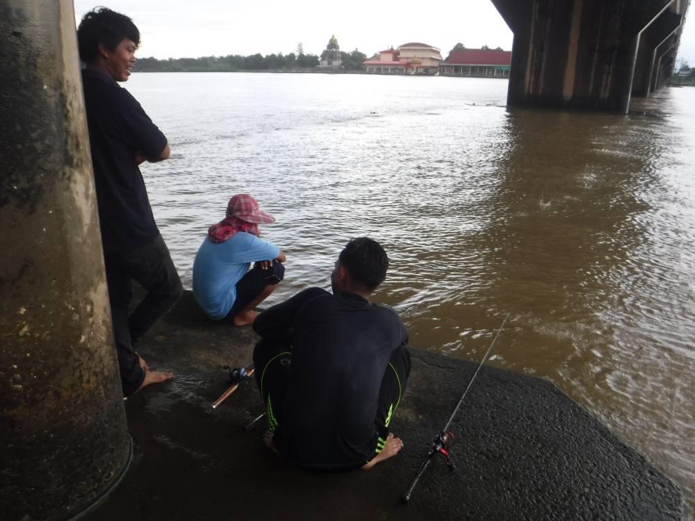 ระหว่างรอฝนหยุดตกครับ หย่อนใต้ตอหม้อเสาสะพานเลยครับ