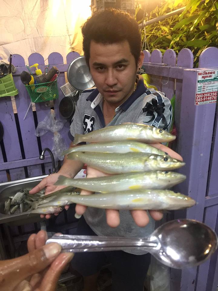 เห็ดโคนก็มี