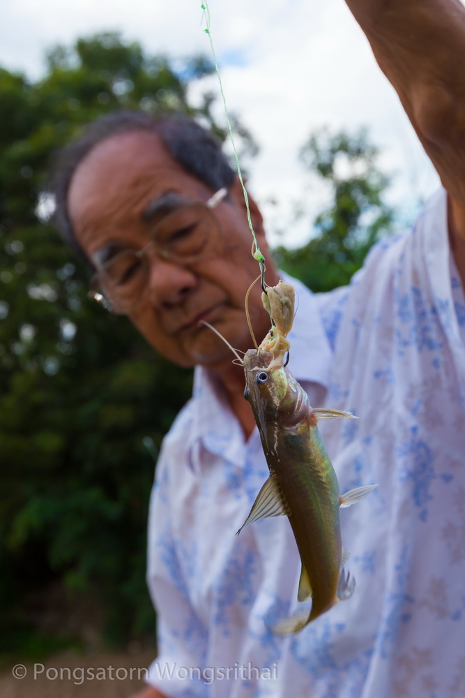 เล็กใหญ่ปะปนกันไป มีทุกไซส์