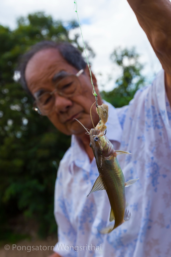 เล็กใหญ่ปะปนกันไป มีทุกไซส์