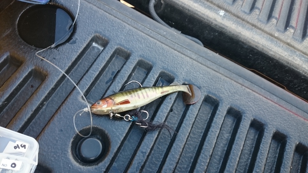  :cheer:

Megabass megslow 