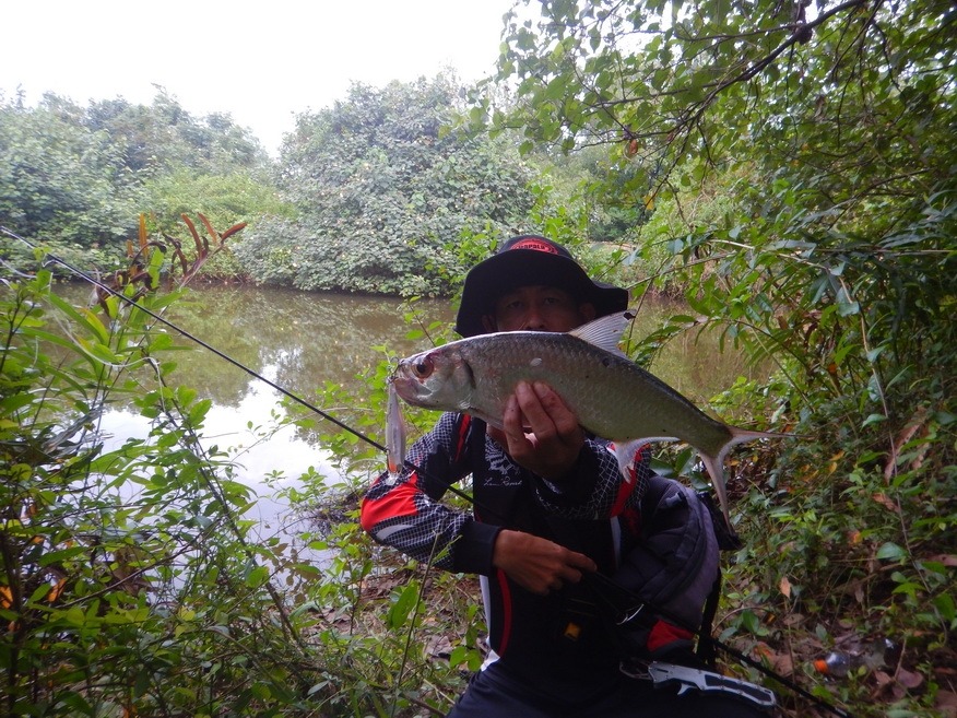 
ทาปอนด์แปซิฟิก จากผลงานเหยื่อ Rapala shadow rap shad 9 ครับ  :cheer: :cheer: