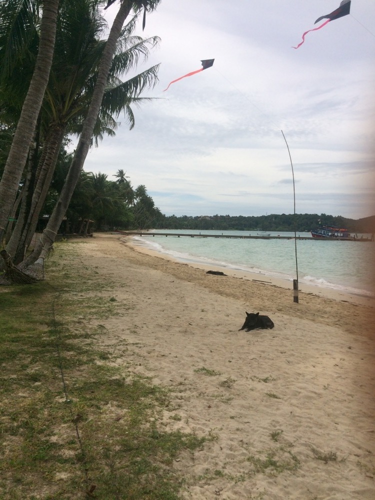 บรรยากาศชายหาด