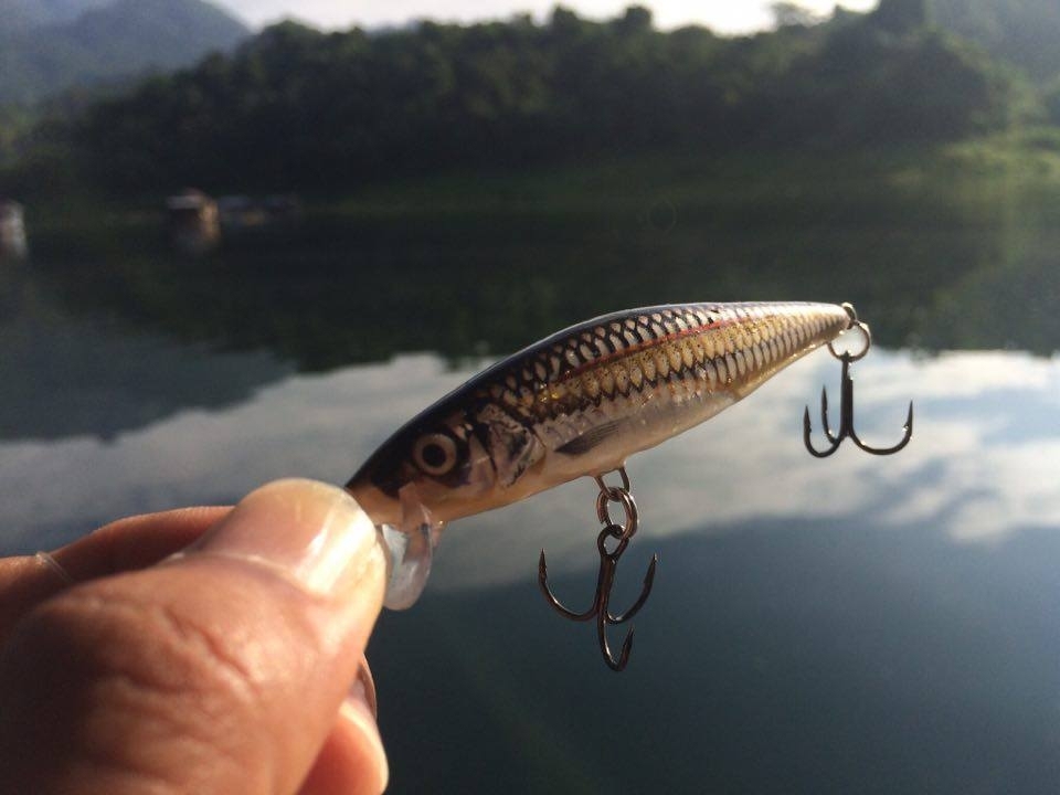 วันนี้ พาเจ้าเหยื่อ 
RAPALA  FLAT RAP : SEW  
มาเที่ยวเขื่อนด้วยนะครับ  
 :cheer: :cheer: :cheer: