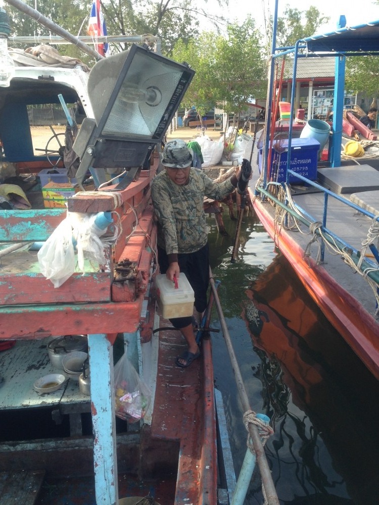 เรือเข้ามาส่งลูกค้า4โมงเย็น ชุดที่ลงก่อนเราเมื่อวาน
 แล้วก็รับเราลงออกต่อ ขนอุปกร์ลงน้ำแข็งกว่าจะได