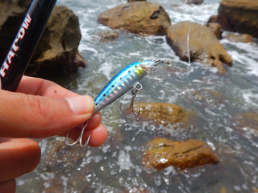
ลองเอาRapala countdown abachi 5 เหยื่อที่ทำจากไม้ abachi มาลองดูบ้างครับ  :smile: :smile: :smile: 