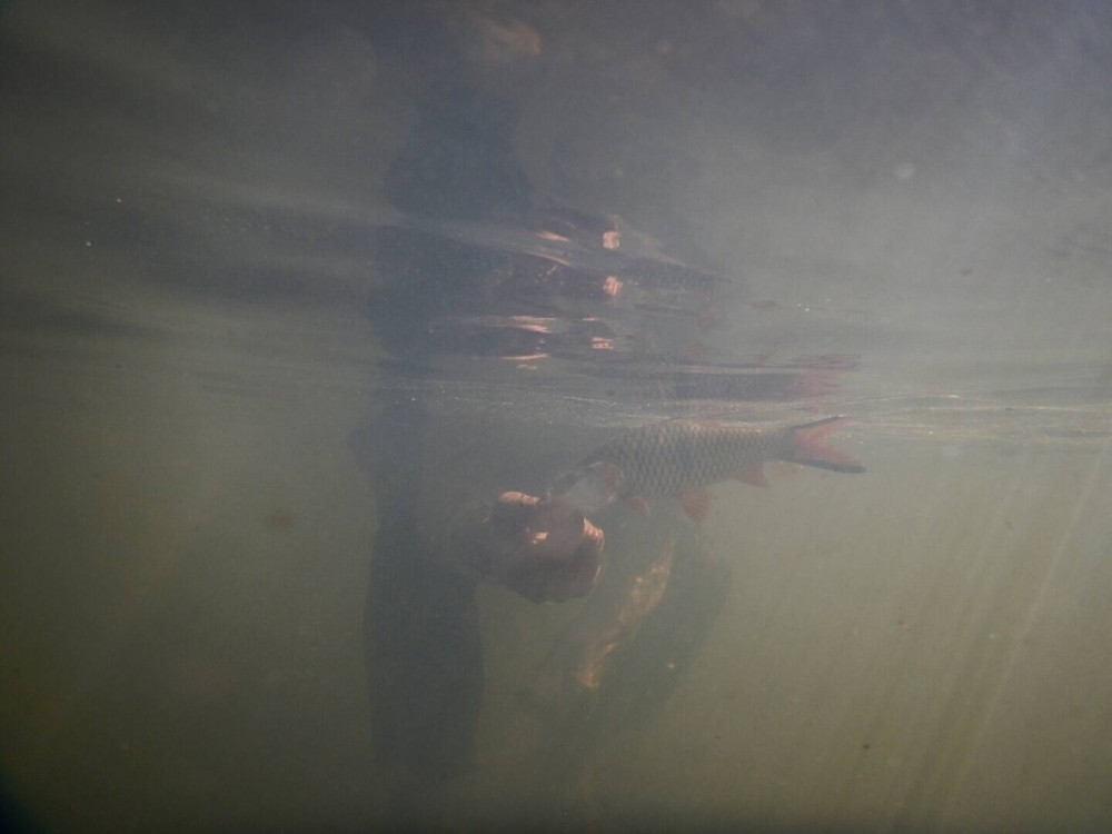 ด้วยความพยายามของผมให้อายะถ่ายรูปให้เพราะอยากได้รูปใต้น้ำสวยๆกับเค้าบ้าง 