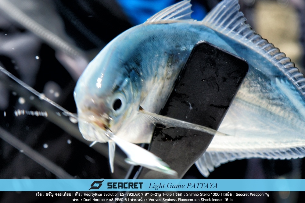  [center]สีขนกำลังสะบัดตัว 
ที่หนีบจับปลากระชับมากไม่ต้องกลัวว่าปลาจะสะบัดตัวดิ้นหลุด[/center]