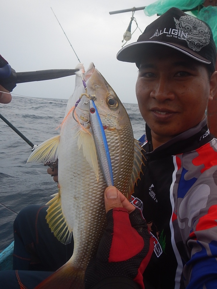 
 [center]หมูสีตัวนี้ก้หลงสปี๊ดจิ๊กเหมือนกัน[/center]

