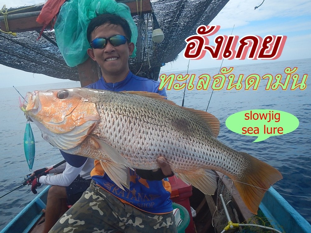 
 [center]ปลาอังเกย .....ไซร์ไม่ธรรมดา[/center]

