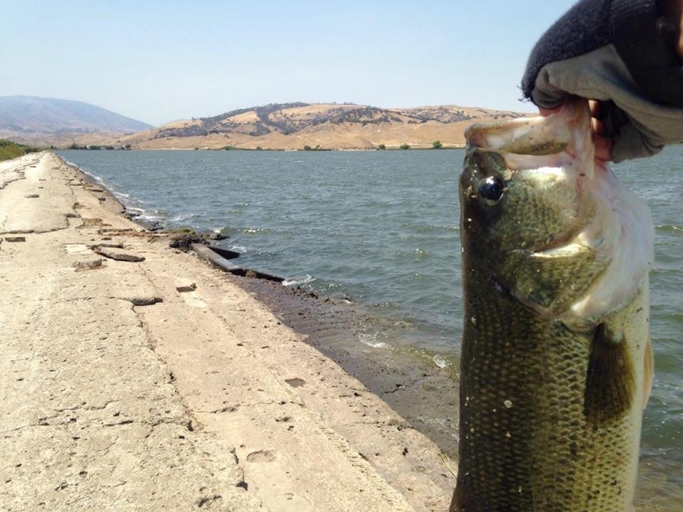 ก็เป็นการบอกเล่า เรื่องราวทริปตกปลาผมครับ
ทั้ง Largemouth Bass 