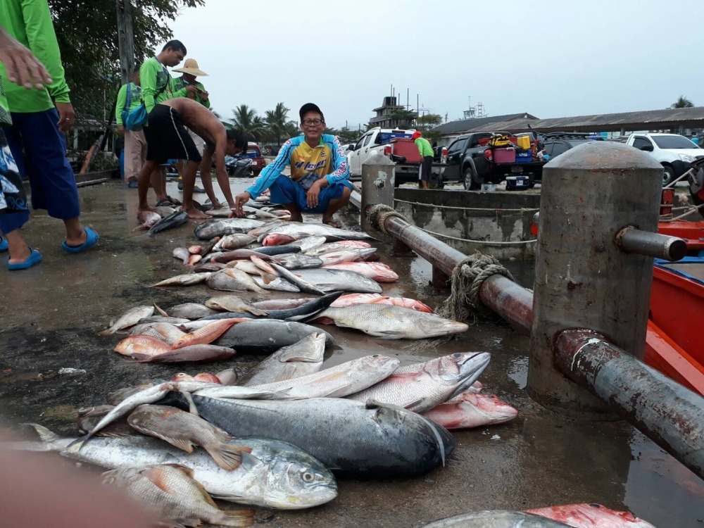 เริ่มขนออกจากเรือ  มาแบ่งกองครับ