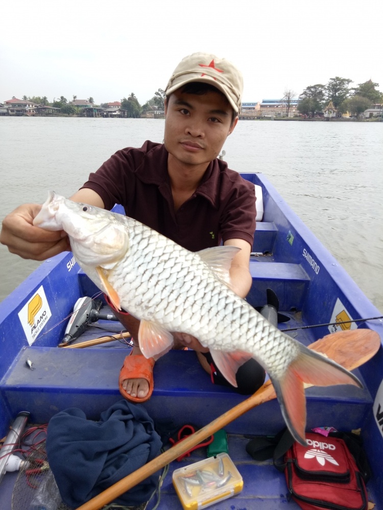 กระสูบเป็นตัวปิดท้ายครับ