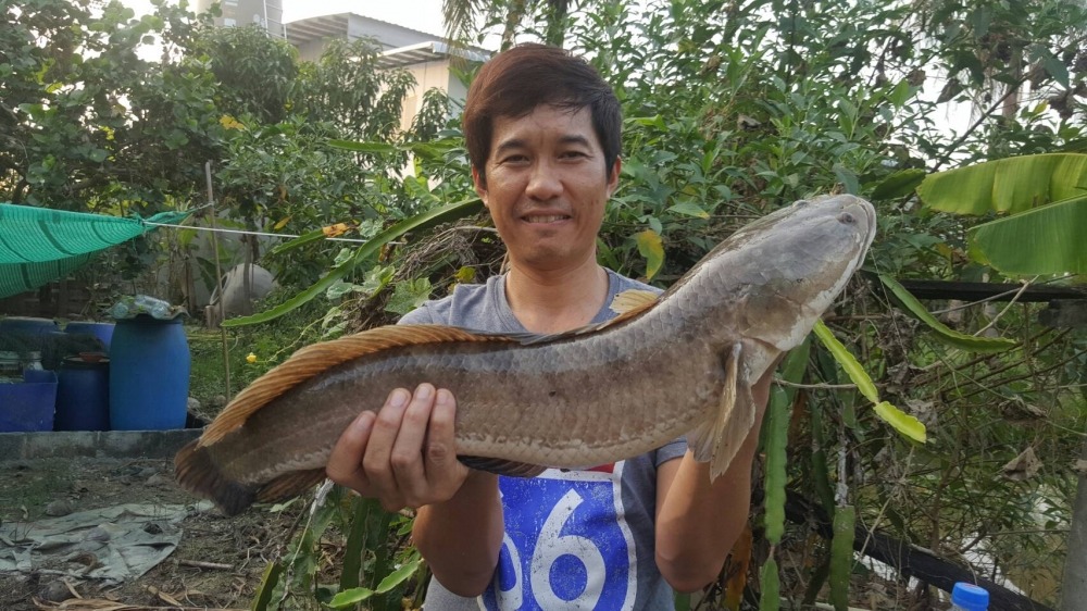 เก็บภาพ..หน่อย..
