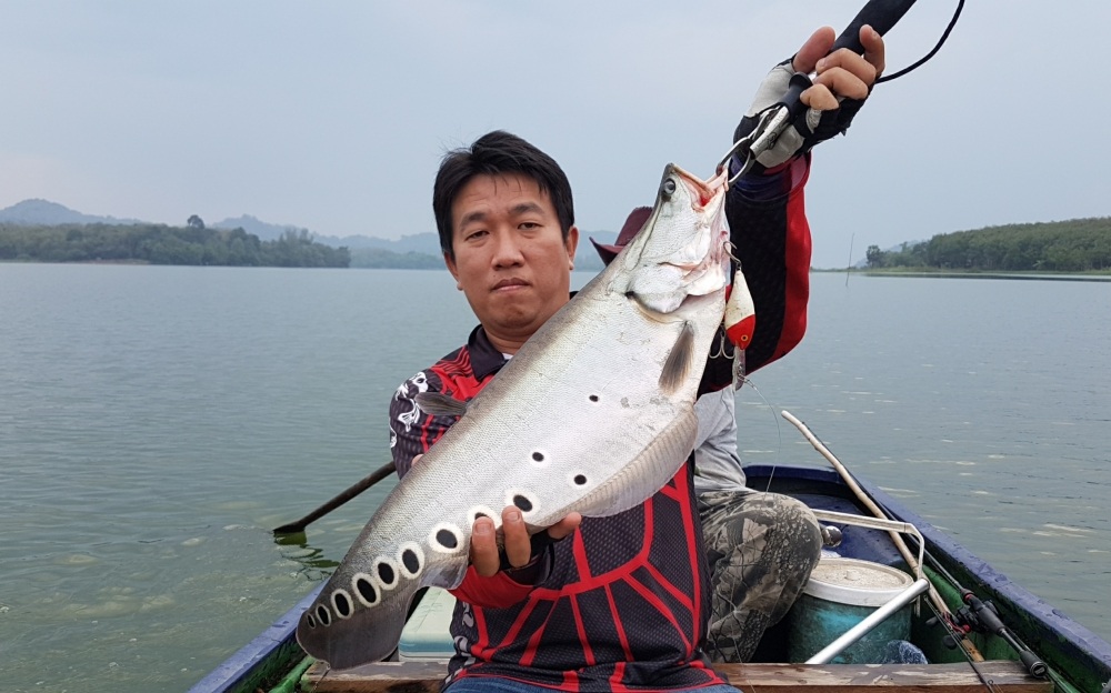 กัด  [b]Rapala Risto 7 ขาวหัวแดง[/b]