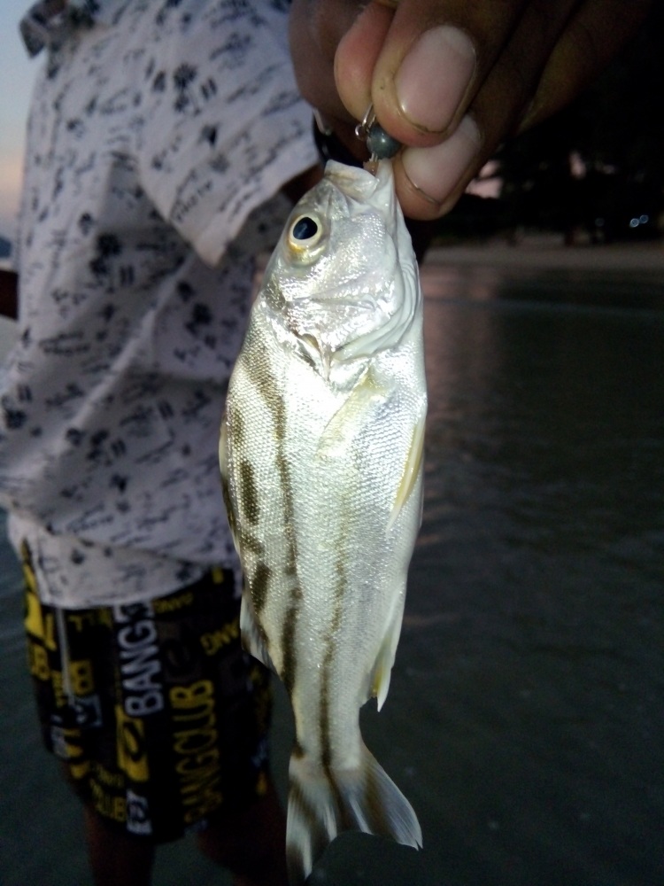 หลังจากนั้นก็ตีขนาน หาดมาเรื่อยๆครับ
 แฟนบอกขอกลับไปที่ห้องพักก่อน เลยเอาโทรศัพไว้ที่ผม

ผมและน้อ