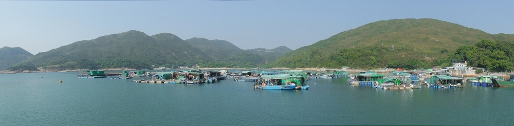 [center]เรือมารับกลับผ่านหมู่บ้านชาวประมงในอ่าวดูสงบดี

ชาวเรือแต่เดิมทำบ้านแพในน้ำ หมู่บ้านตามเกา