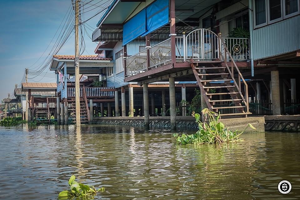  

[center][b]
สภาพหมาย ตามบ้านคน
ที่ตกตามบ้านคนเพราะ ปลาจะจับกลุ่มกินเศษอาหารที่ทิ้งลงมาครับ
จ