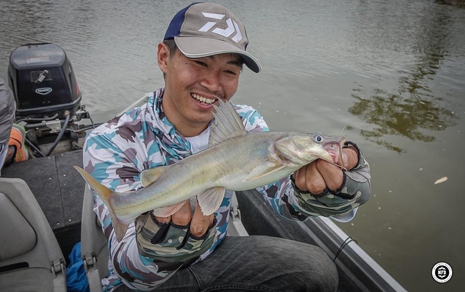  

[center][b]
แล้วผมก็ขอตกบ้างได้ปลากดเหลือง กัด Rapala Shad Rap 7cm
[/b][/center]

