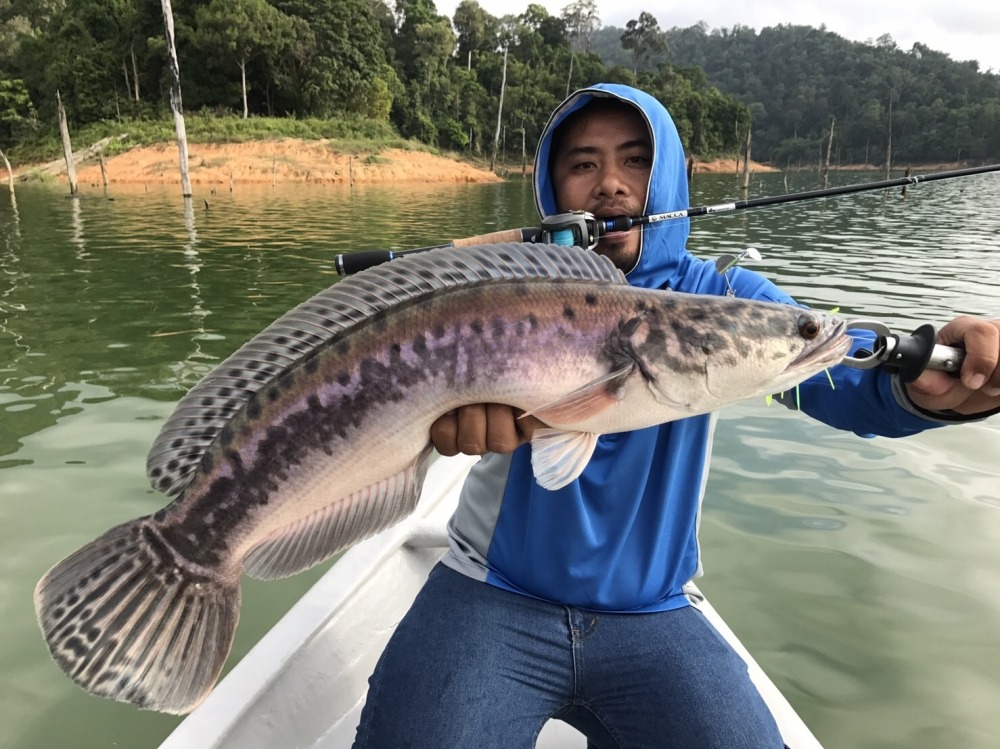 เอาอยู่ครับ
Rod Hideup macca
Line Drave 30lb