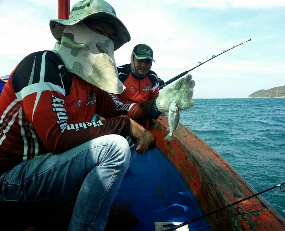 นี่ครับระหว่างรอปลาใหญ่หลังเกาะ  น้าชาก็สอยปลาจวดเอาไปทอดเป็นสิบเลย5555