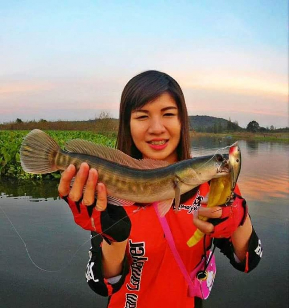 เหยื่อที่ใช้ๆเป็น Rapala Skitter pop ค่ะ 