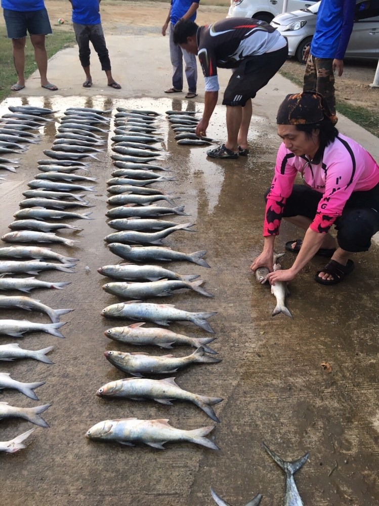 เริ่มเรียงของเรือไต๋ไอซ์