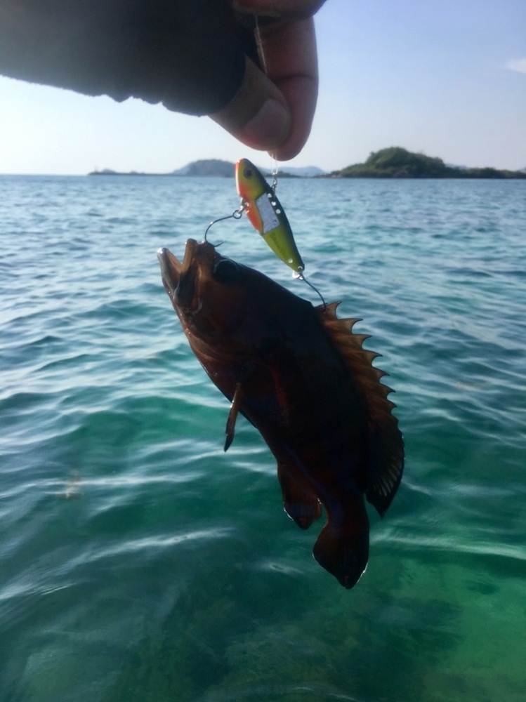 กระดี่เหล็กSPANYIDไม่ได้มีไว้ตกแค่ปลาน้ำจืดเท่านั้น  แค๊สปลาเล็กๆ ก็ทำได้ดีมากๆ สนุกไปอีกแบบ :cool: