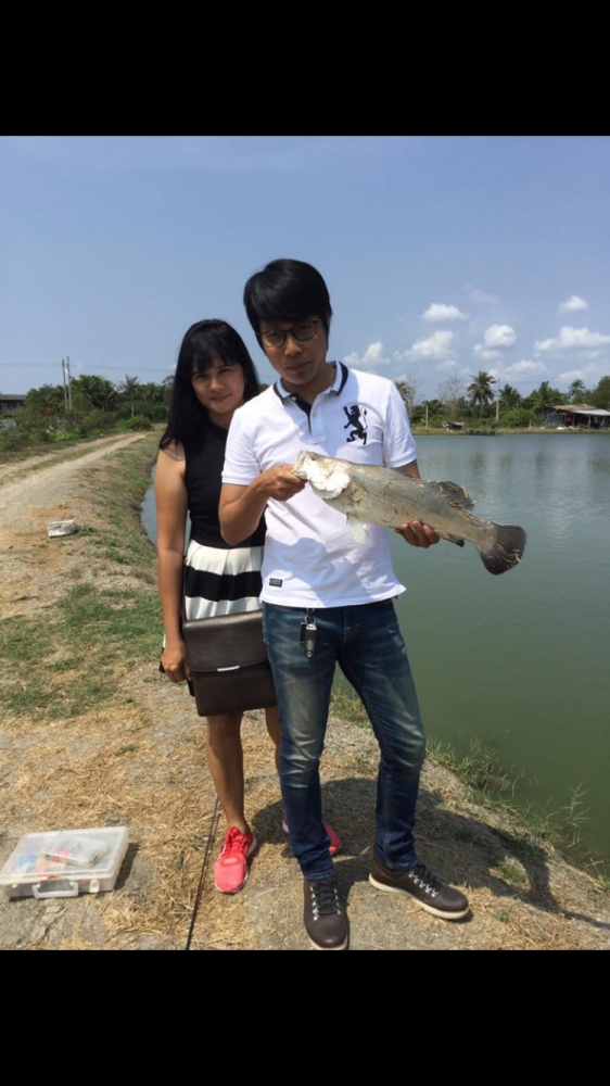 แขกมาเรื่อยครับ