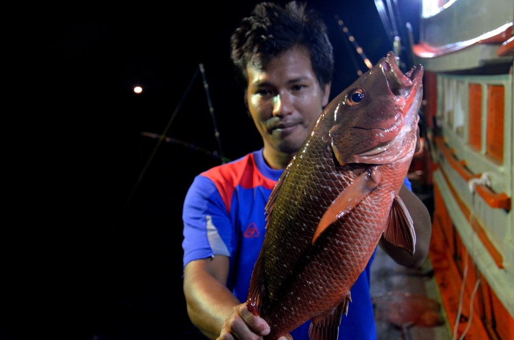 แดงเขี้ยว หรือ ปลากะพงแดง ชื่อวิทย์ Lutjanus argentimaculatus  จริงๆแล้ว  ตำราบางเล่มว่าไว้ว่า   เป็