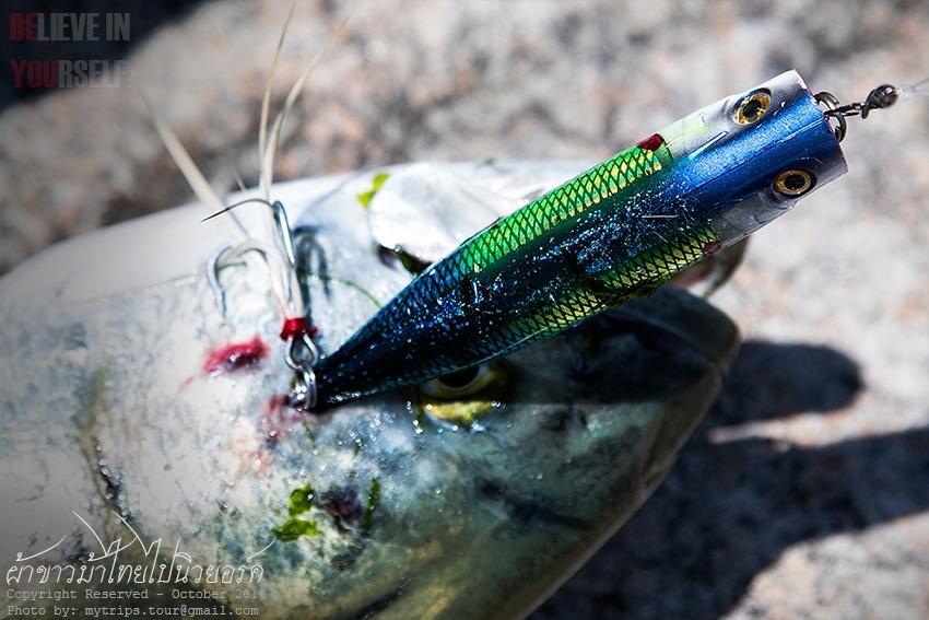 Popper lure  :cool: