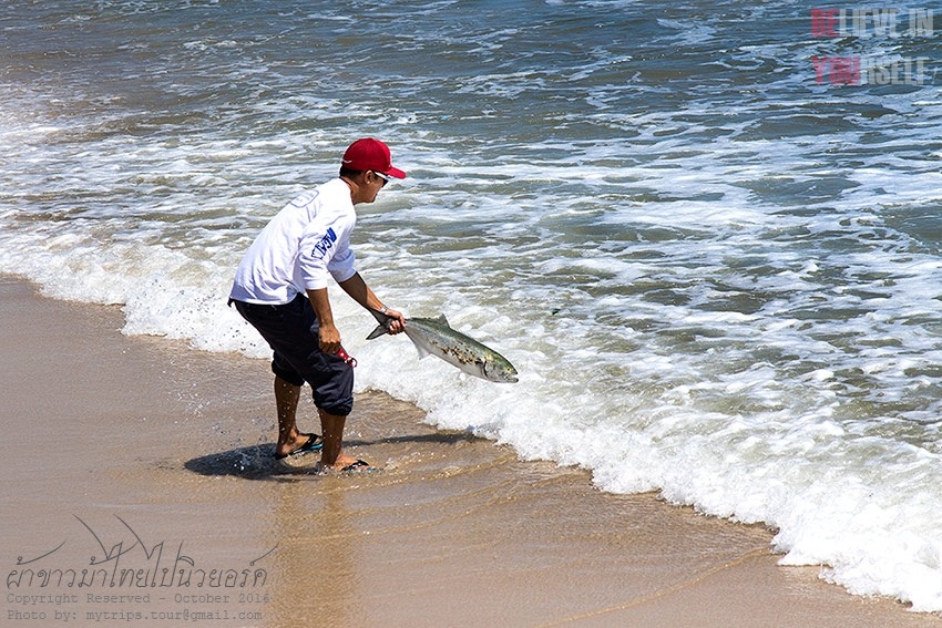 Catch & Release #1