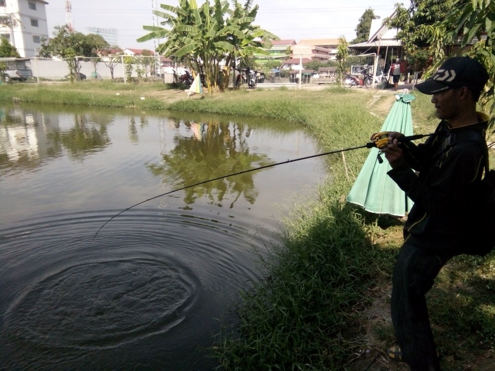เนื่องจากคันผมเวทแค่ 4-10 lb. จึงไม่กล้าเล่นกระดี่ตัวใหญ่ๆครับ
เลยเปลี่ยนเป็นปลั๊กตัวเล็กๆ สีลูกครอ