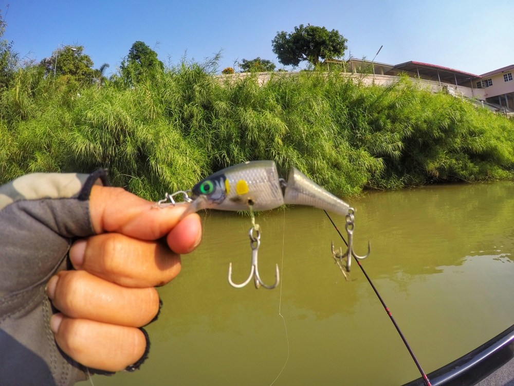 
 [center][b]แถวนี้น้ำตื้นต้องเจอ BX Jointed Shad ตัวนี้โดนกระสูบเล่นซะเบ็ดท้องหายไปเลย ต้องเจาะท้อ