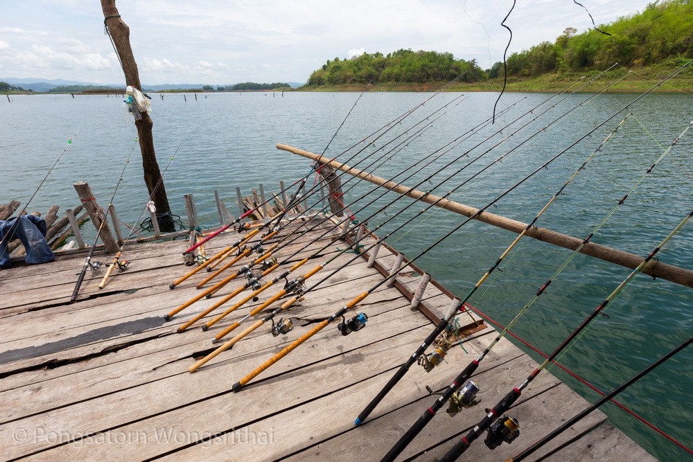 แสตนด์ตั้งคันเบ็ดไม่พอแน่ๆ เลยสตาร์ทเครื่องเรือไปฝั่งตรงข้าม เพราะเราเห็นไผ่ลำยาวเหยียด ลอยน้ำอยู่ลิ