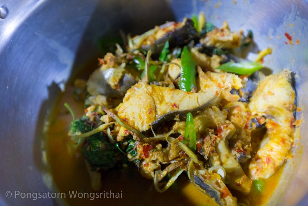ผัดฉ่าปลากด  :umh: