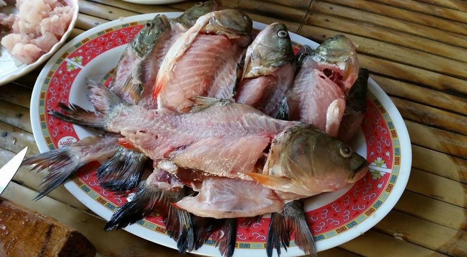 ส่วนที่เหลือผมคลุกรสดีแล้วทอดอร่อยใช้ได้เลยครับ :umh: :umh: :umh: :umh: