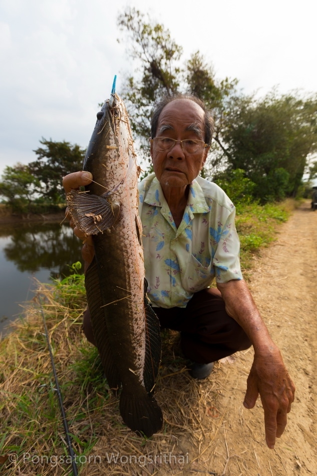 ตัวนี้ 1.9 kg