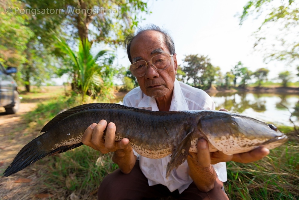 นำกลับมาชั่งที่บ้าน 2.2 kg ครับ