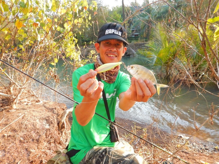 
ลองเอาตัวนี้ลงไปก็โดนตระกูลหางแข็งขึ้นมาผลงานจาก Rapala shadow rap shad 9  :cheer: :cheer: