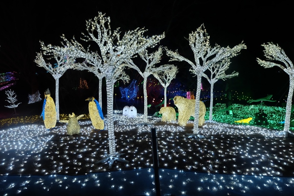 [b][center][/b][/center]