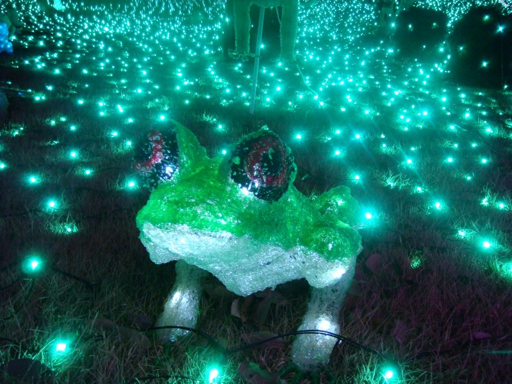 [b][center][/b][/center]