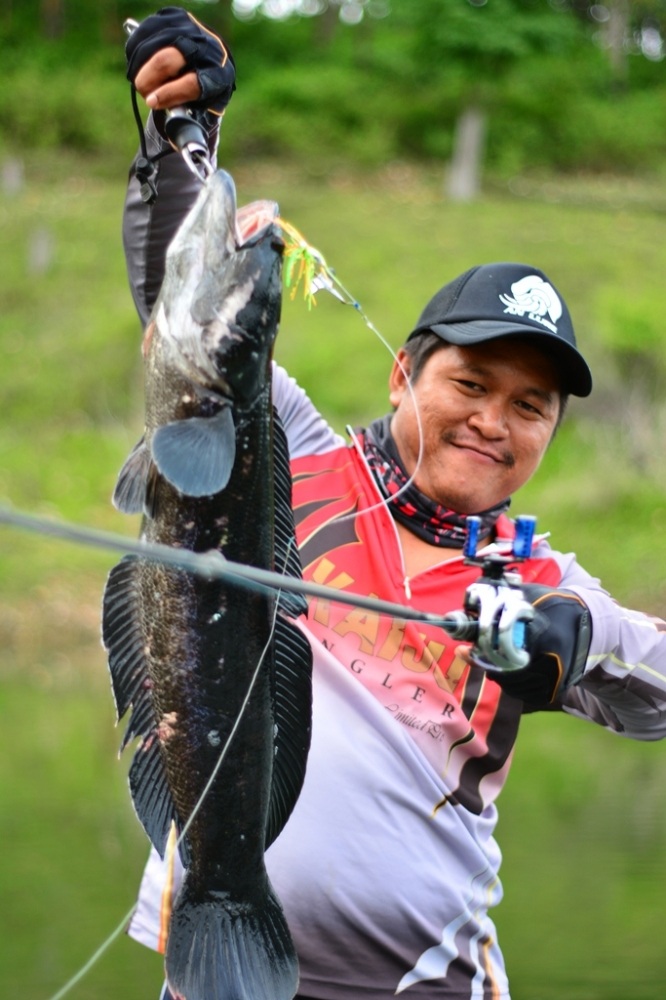 อุปกรณ์ที่ผมเล็กใช้ก็เป็น ไม่งั้นไม่ได้เชยชมแน่ๆ

คัน : Daiwa Steez Flogger 12-20 Lb.
รอก : Shima