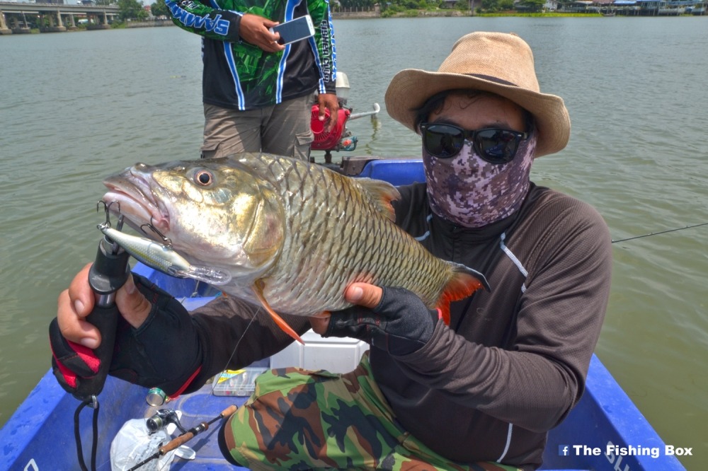 Chao phraya River